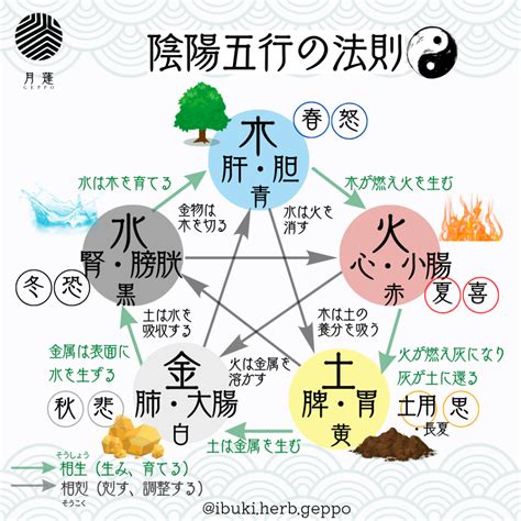 陰陽 南北|陰陽五行説 – 陰陽道・五行説をわかりやすく解説【図。